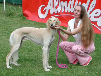 Ehsaan Akbar Alasmaanii