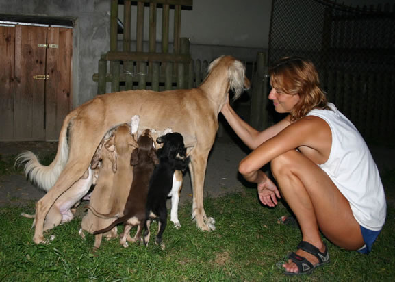 beim Trinken 5 Wochen alt